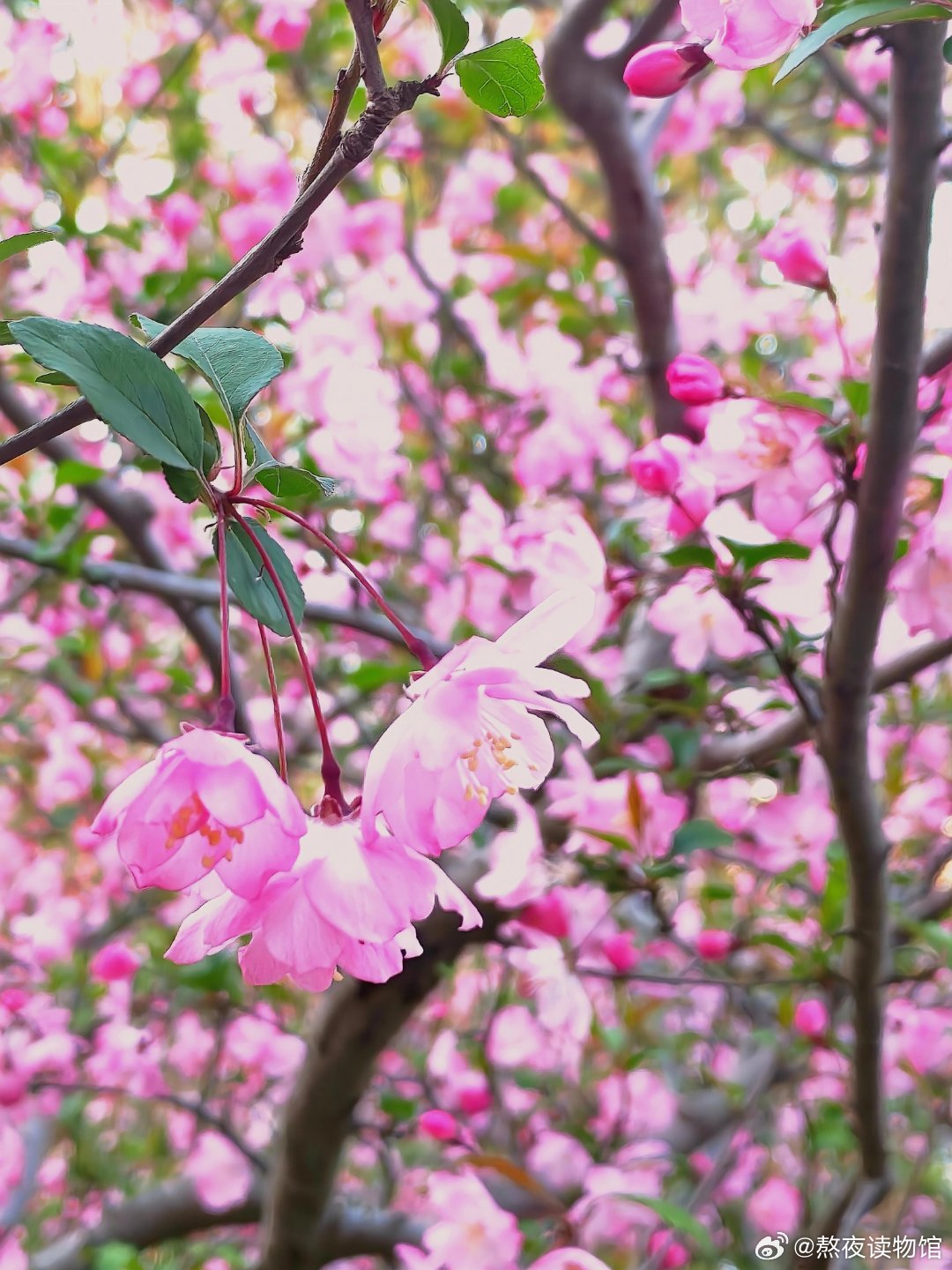 加班加到头秃，今天终于最后一天了！假期在半个月前就想到怎么过了昨晚打开了《大宋提