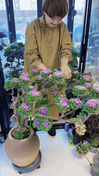 山东一位阿姨火了，一棵羽衣甘蓝养9年，菜一直吃不完，太牛了！这不就是我们，在