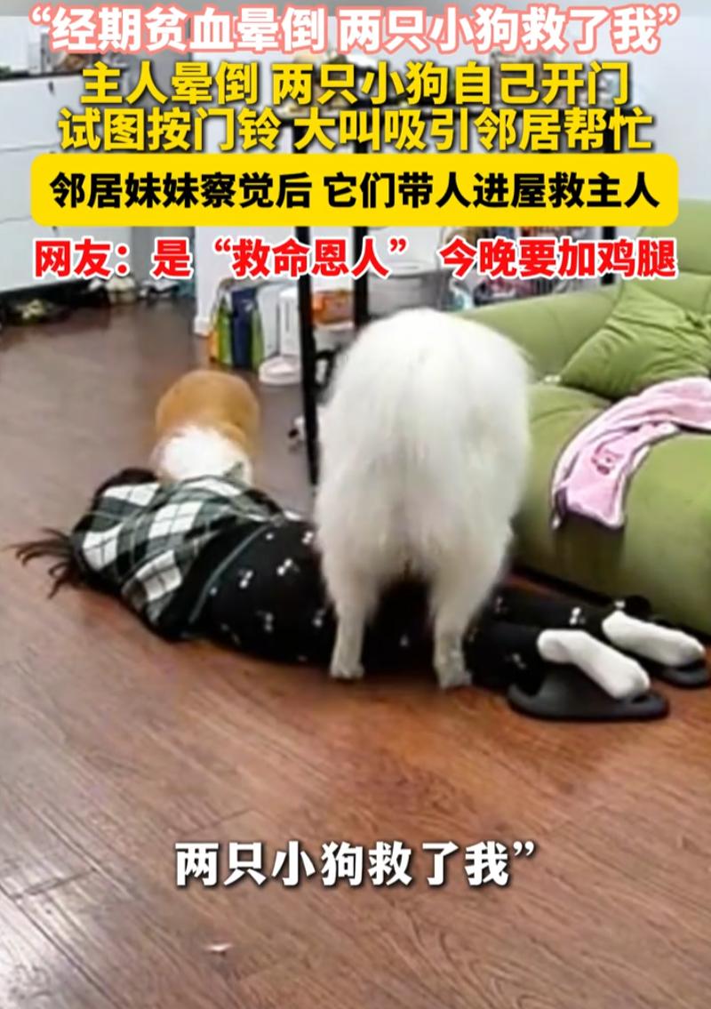 四川，女子来例假，本来就贫血严重，整个人虚得不行。她坐在沙发上玩了会儿手机，觉得