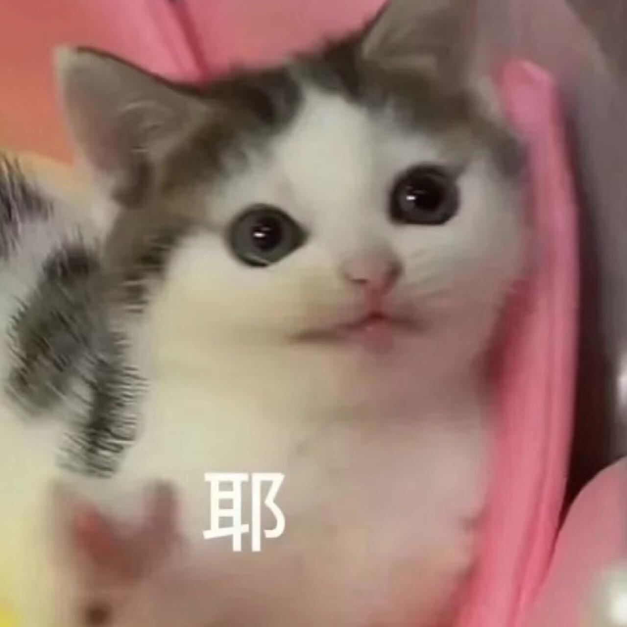 抱歉抱歉，这俩天懒散了，哈哈哈明天一天勤快点，哈哈哈哈~​​​