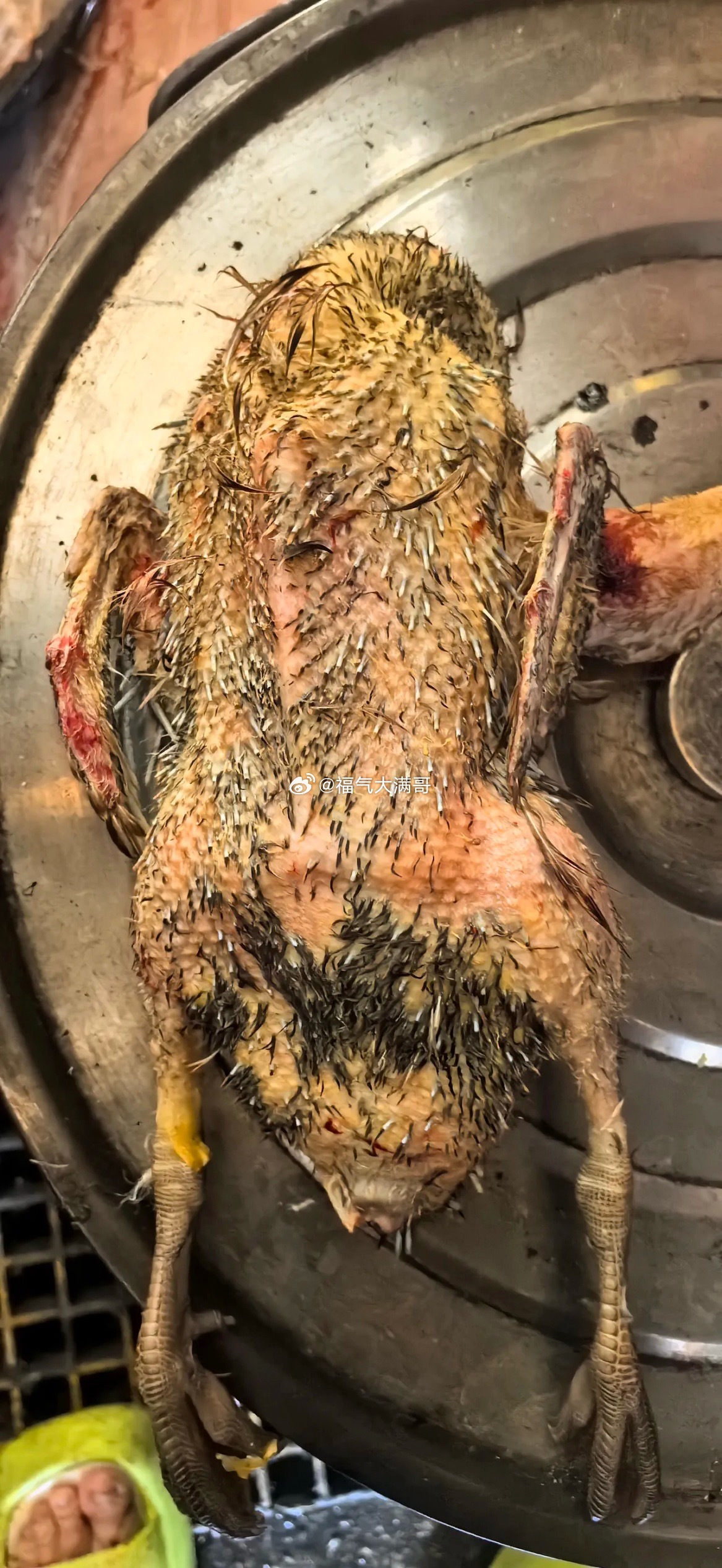 这顿饭吃下来大家猜一下得几点才能开饭