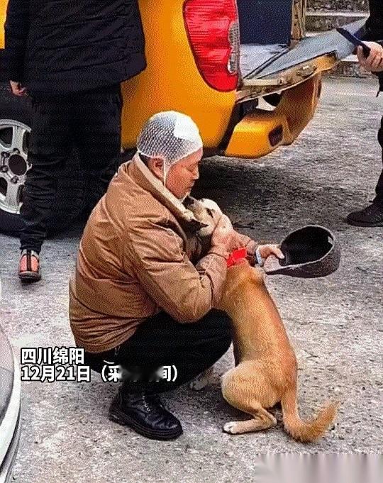 山路上，一辆孤零零的摩托车。旁边，趴着一条狗。这一趴，就是八天。主人骑车摔