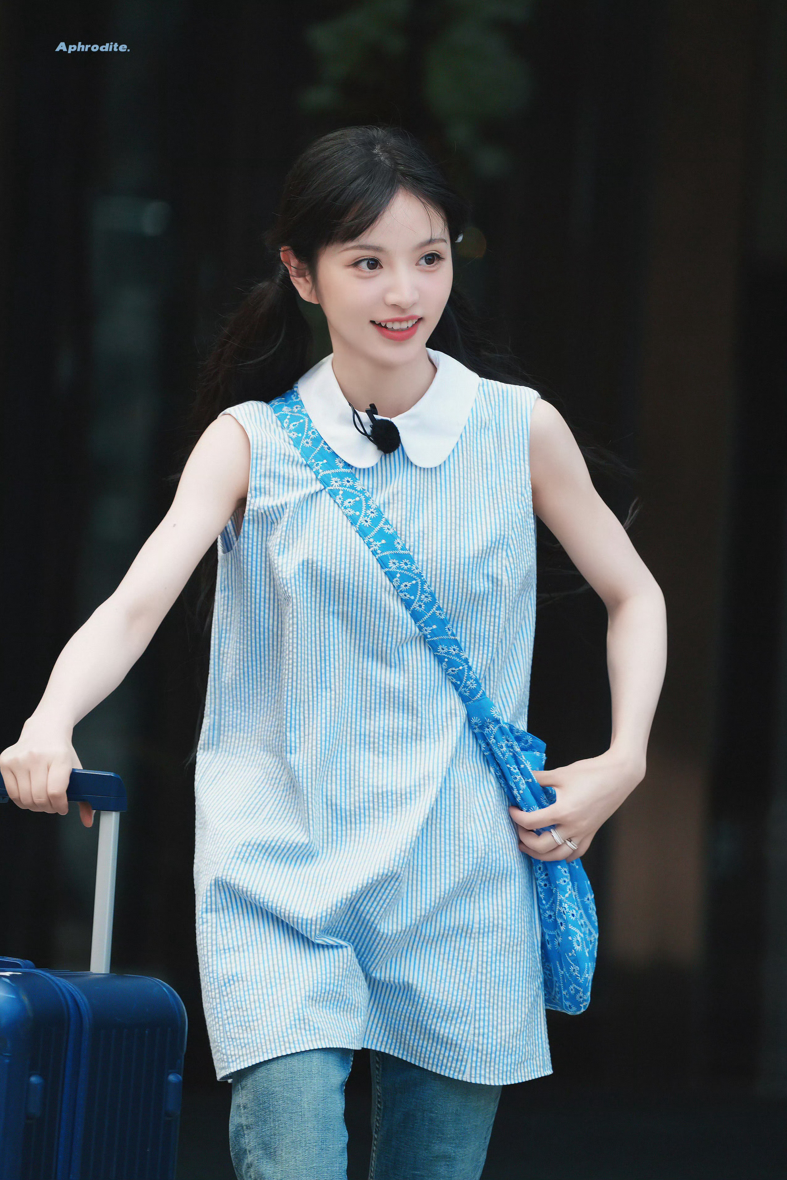 田曦薇｜忙忙碌碌寻宝藏