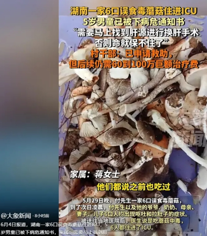 “这次，蘑菇真的要命了！”湖南，一家六口因为一顿晚饭，全都被送进了ICU，他们当