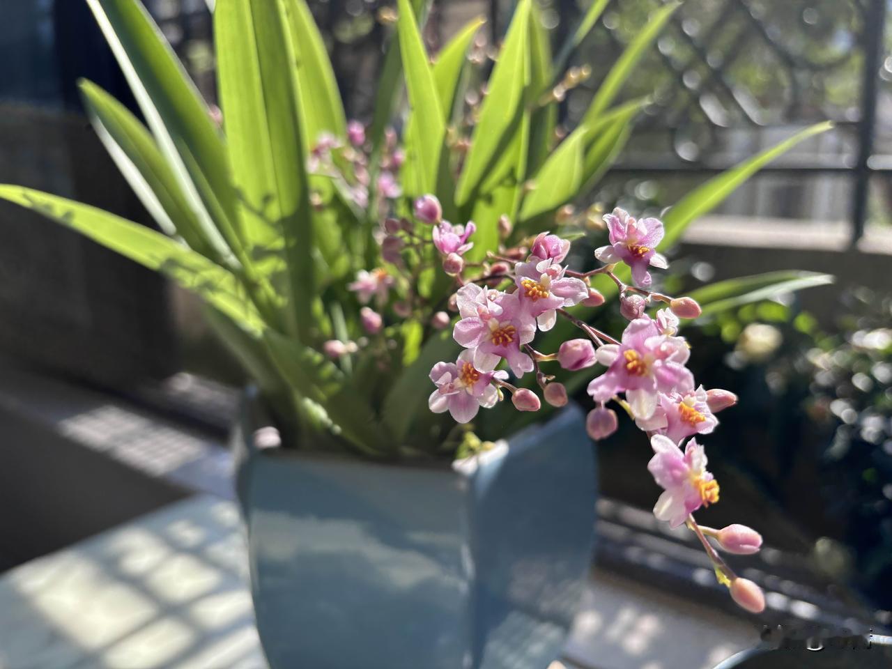 人性就是这样，自卑才炫耀，缺爱才花心。你的招摇，除了证明内心虚弱，说明不了任何东