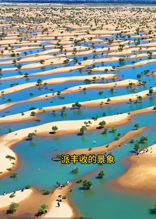 近日，国内最大沙漠塔克拉玛干沙漠发洪水的消息引发了广泛关注。沙漠与洪水，这两个看