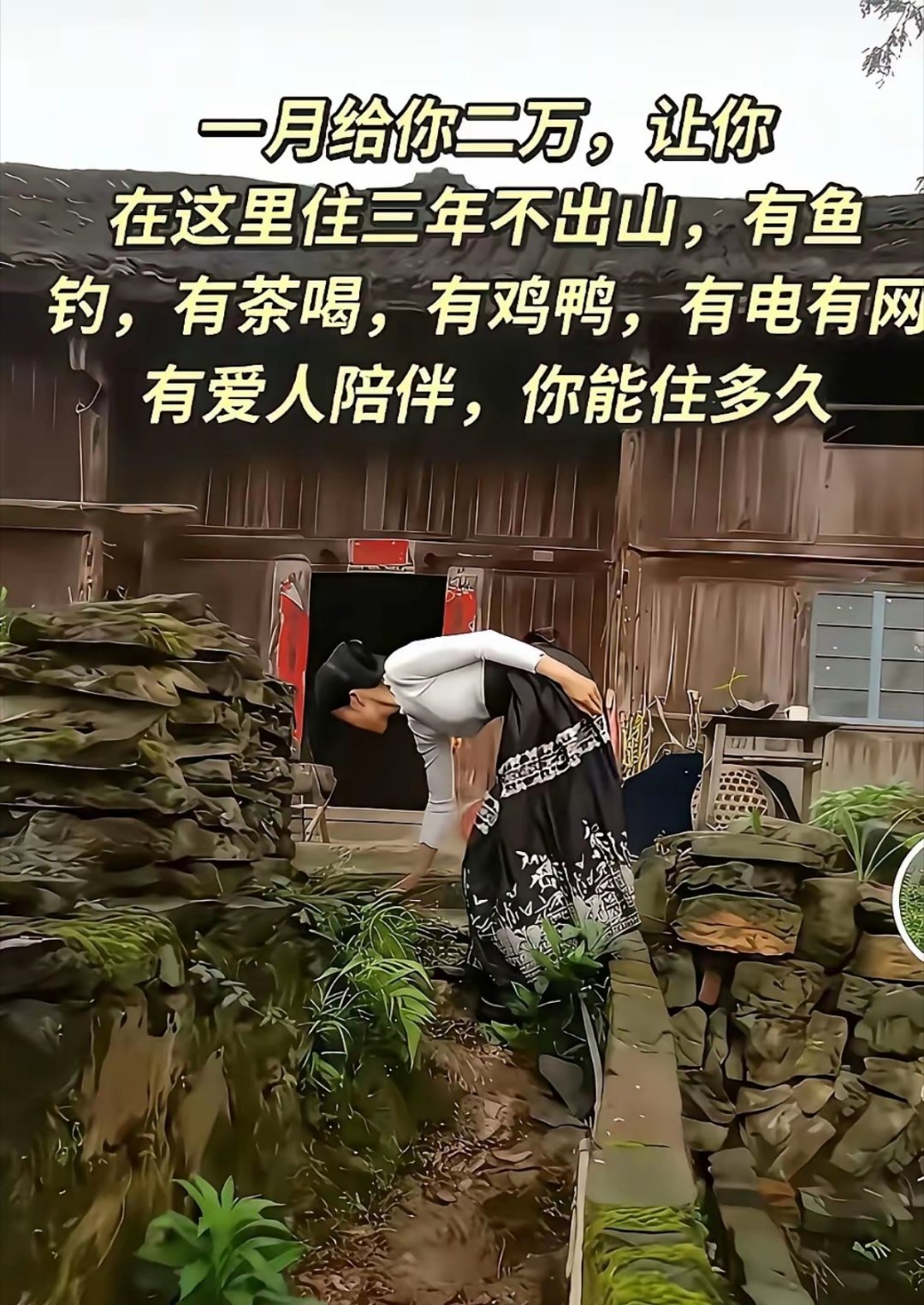 有这条件，没钱都去了！