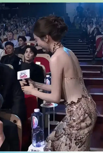 白玉兰颁奖典礼，我关注到的不是宋佳得奖钟楚曦大哭，也不是刘亦菲提前知道没得奖不参