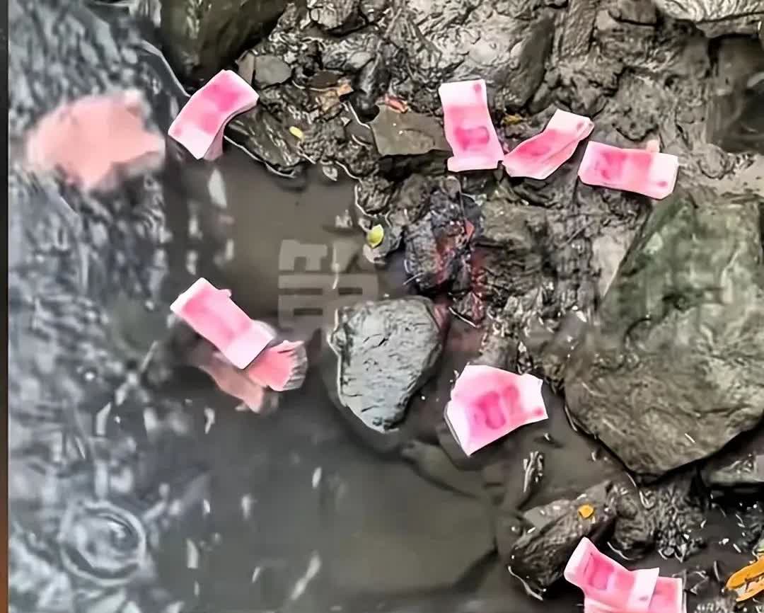 【河道惊现