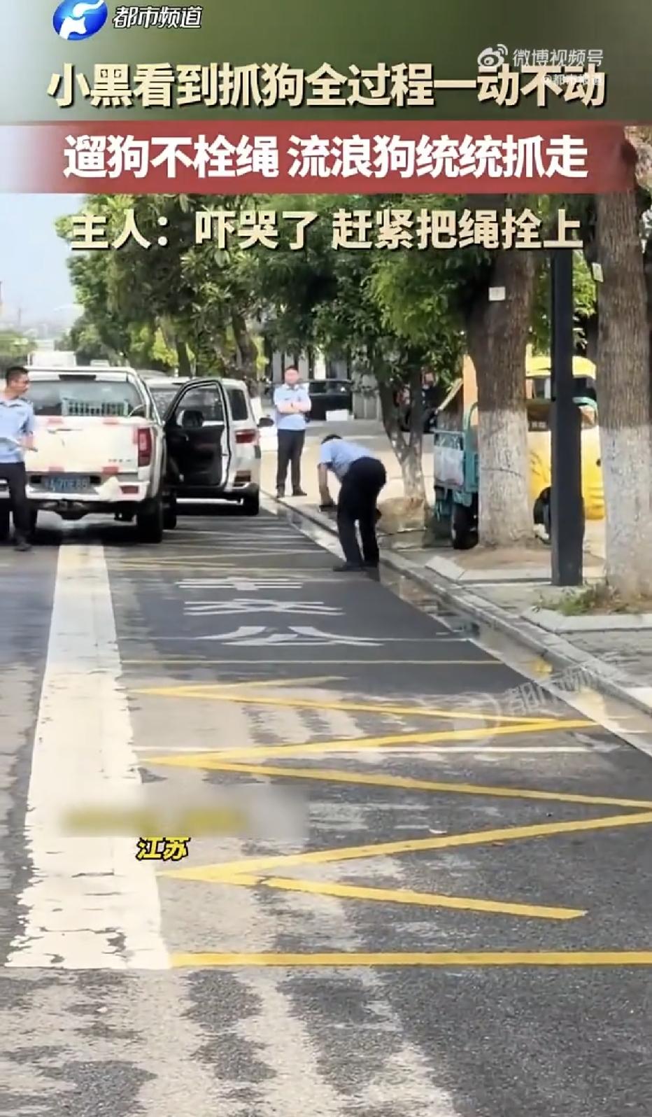 江苏，一名养狗男子，骑着电动车带着自家小狗出门，全程没有牵牵引绳，走着走着，突然