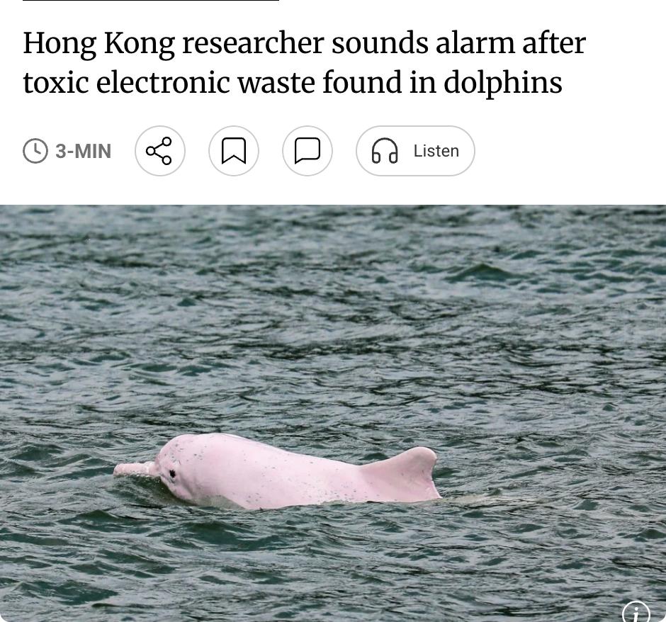 外媒：香港城市大学研究人员发出警告，在搁浅死亡的中华白海豚和印太江豚体内检测到来