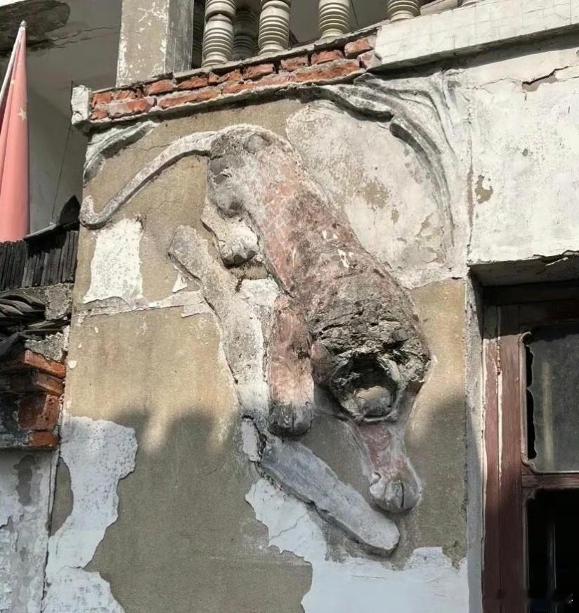 这只猛兽，有人说是老虎，有人说是豹子，你觉得是什么？