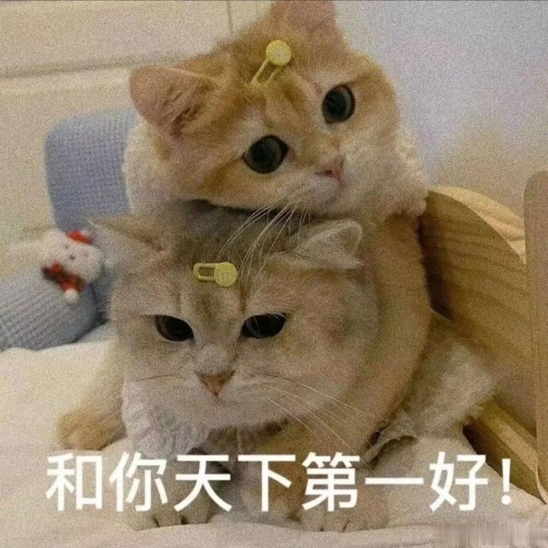 可爱抽象の实用表情包​​​