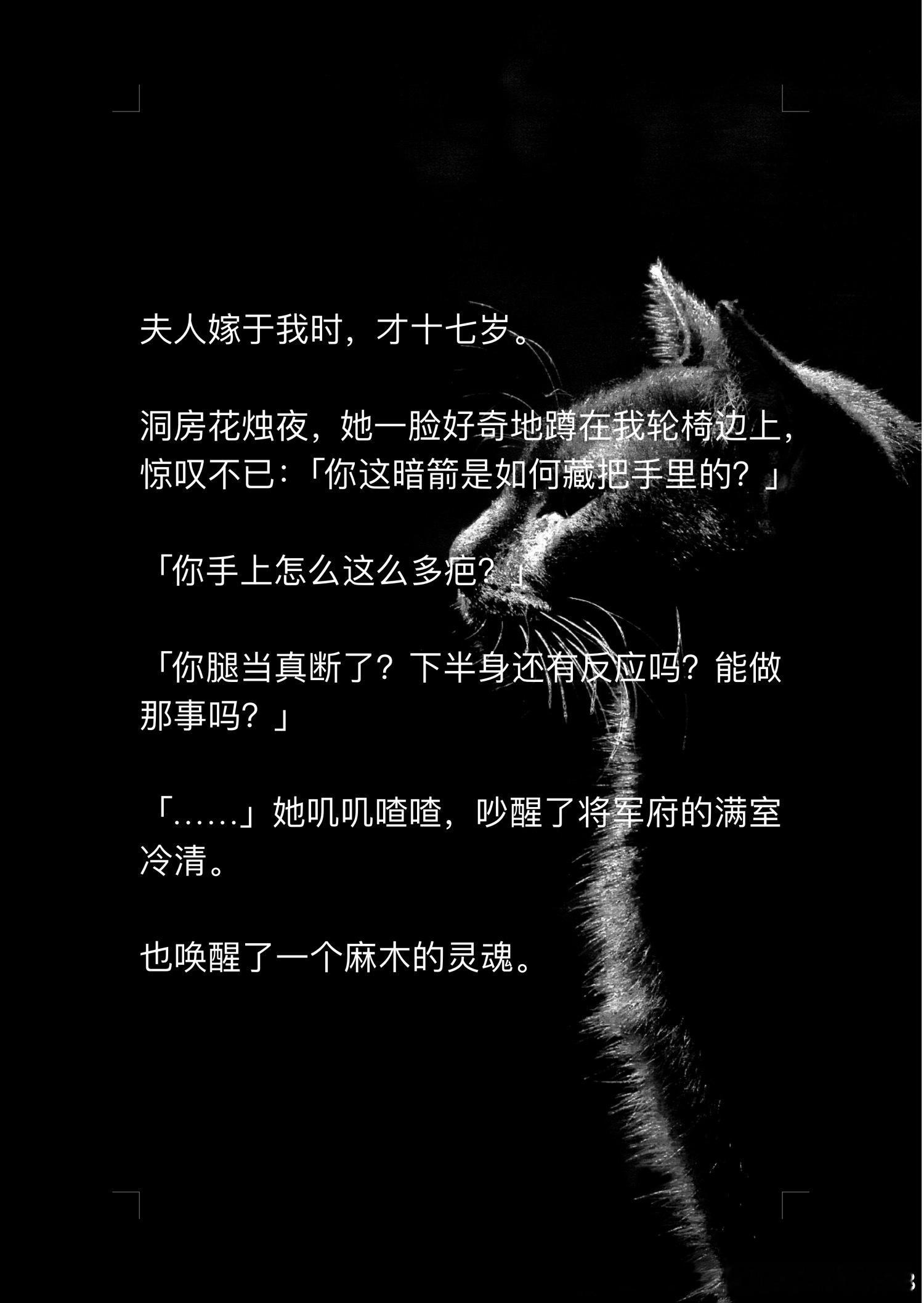 📖落尽暗情→知乎夫人嫁于我时，才十七岁。洞房花烛夜，她一脸好奇地蹲在我轮椅