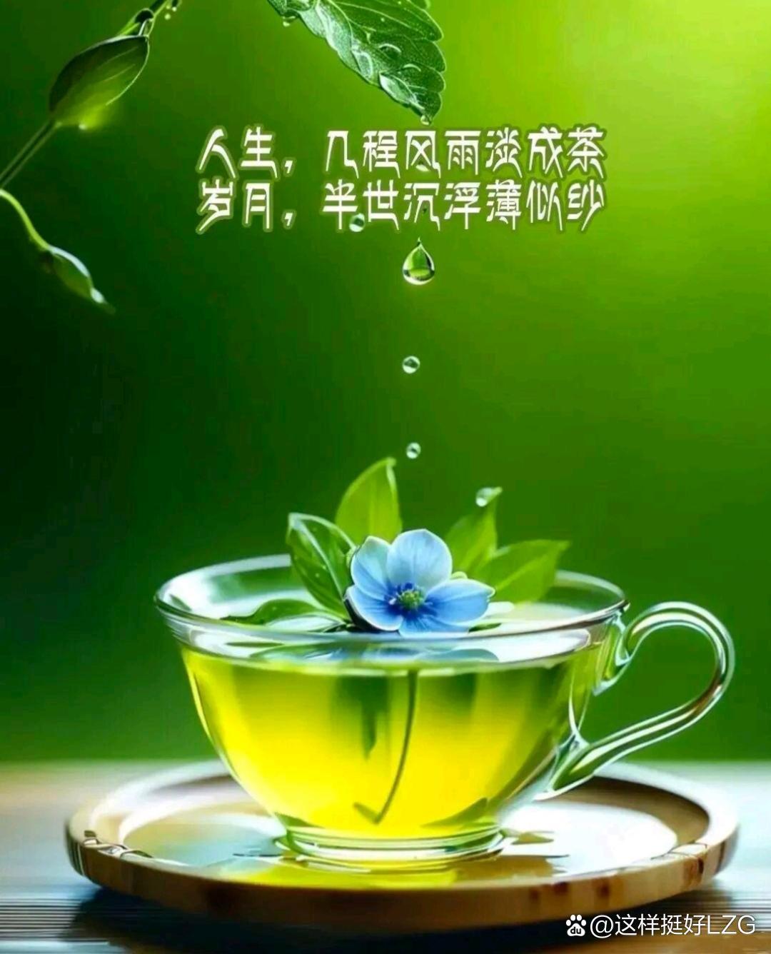 我终于想明白了，从今以后:（一）一定没心没肺的活着，不要脸不要命的活着。就这样