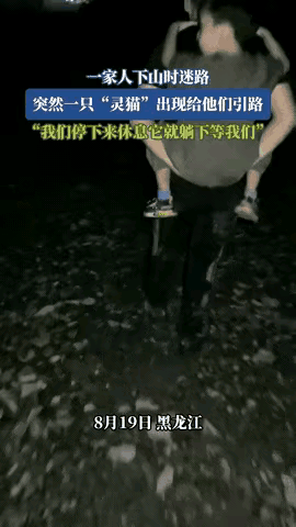 “科学解释不了！”黑龙江一家子心血来潮去爬山，结果迷了路，天黑还在山里打转。就在