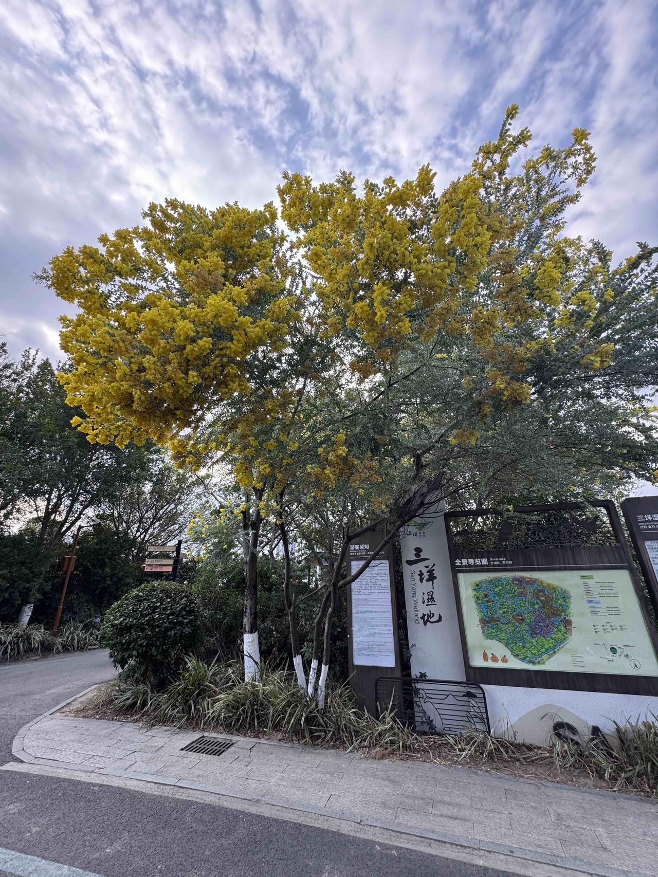 全国人大代表赵皖平连续多年提出的“延长春节假期”建议，已在2026年落地：春节假