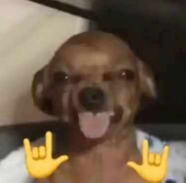 一个博主开始看锁狐
