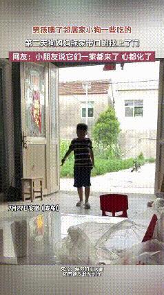 家人们谁懂啊！小男孩就给小狗喂了一次吃的，第二天居然被狗妈妈带着全家“堵门