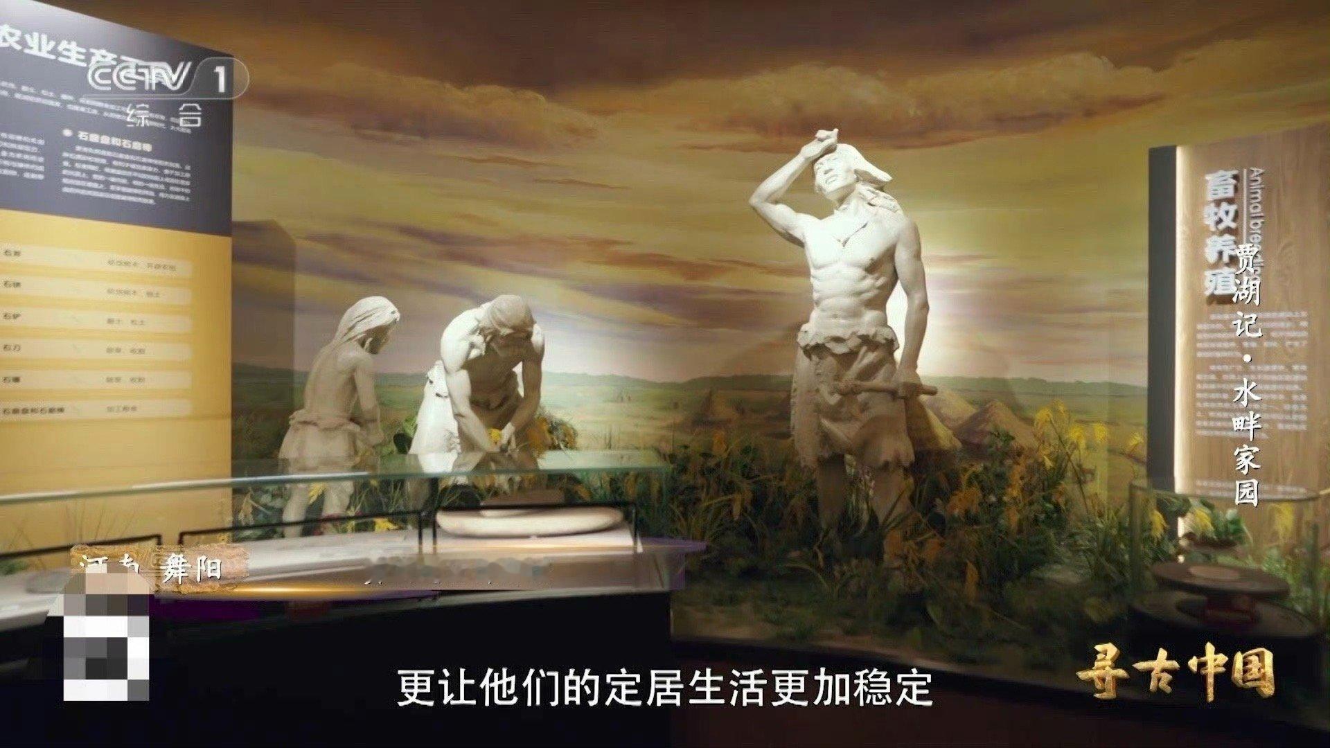 8000年前的稻谷什么样中国人对米饭的执着八千年前，贾湖先民成功将水稻驯化为重