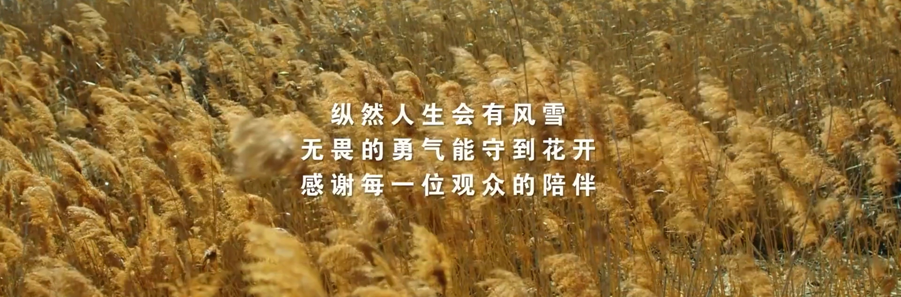 长安二十四计被低估了吗在观众眼中，《长安二十四计》一直都是满分权谋神剧，从未