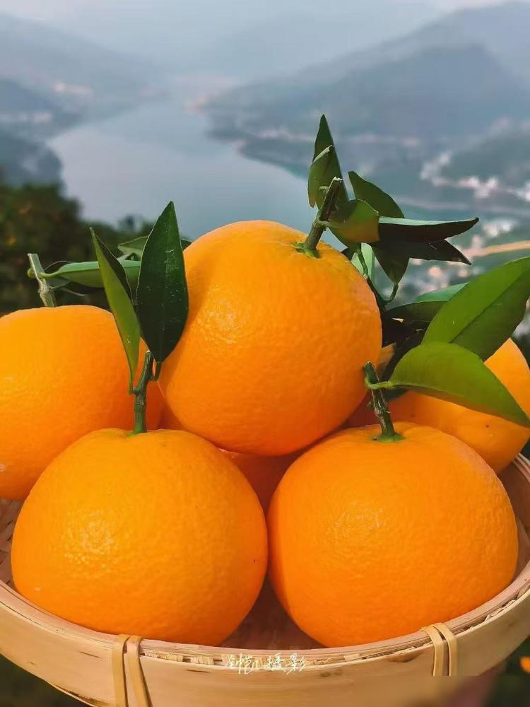 这次生病，从住院到出院，大约七八天，都是由儿子陪同并照顾的。出院后我又回我那