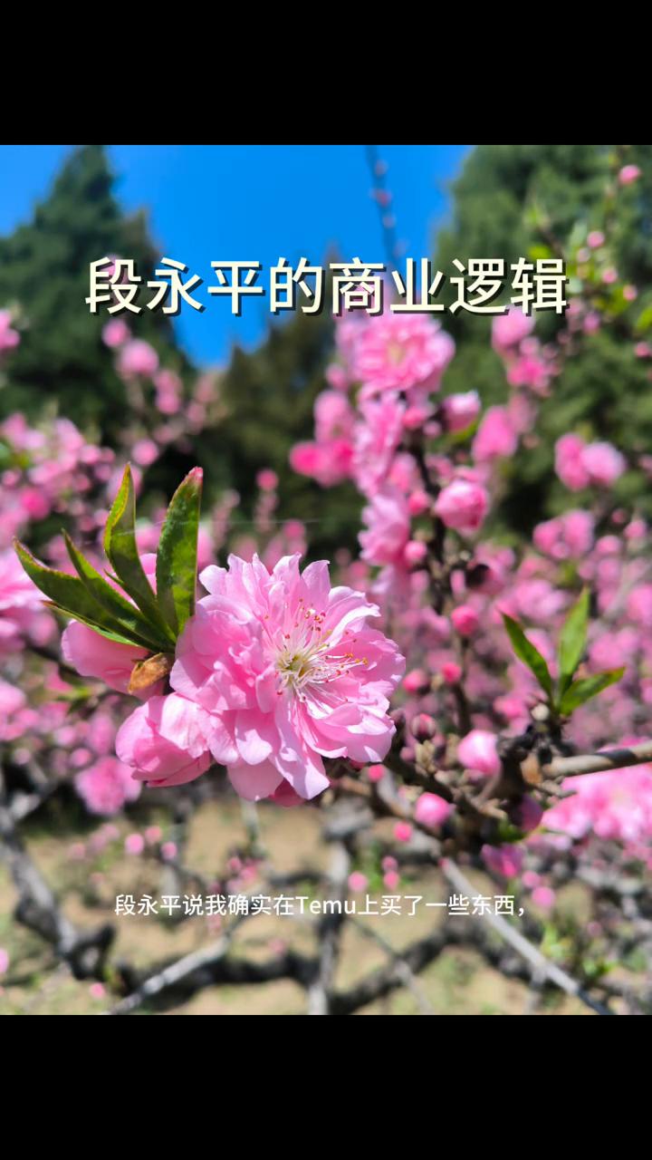 段永平的商业逻辑。段永平说：我确实在Temu上买了一些东西，确实便宜也能用，但