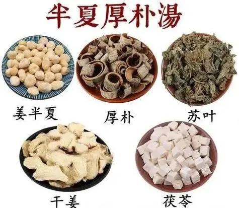 简单讲讲经方半夏厚朴汤和小青龙汤的应用区别半夏厚朴汤由半夏、厚朴、生姜、茯苓