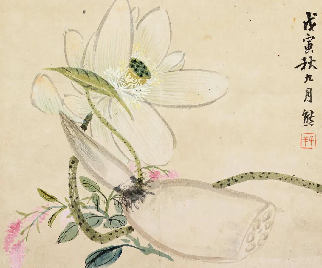 花卉杂画册