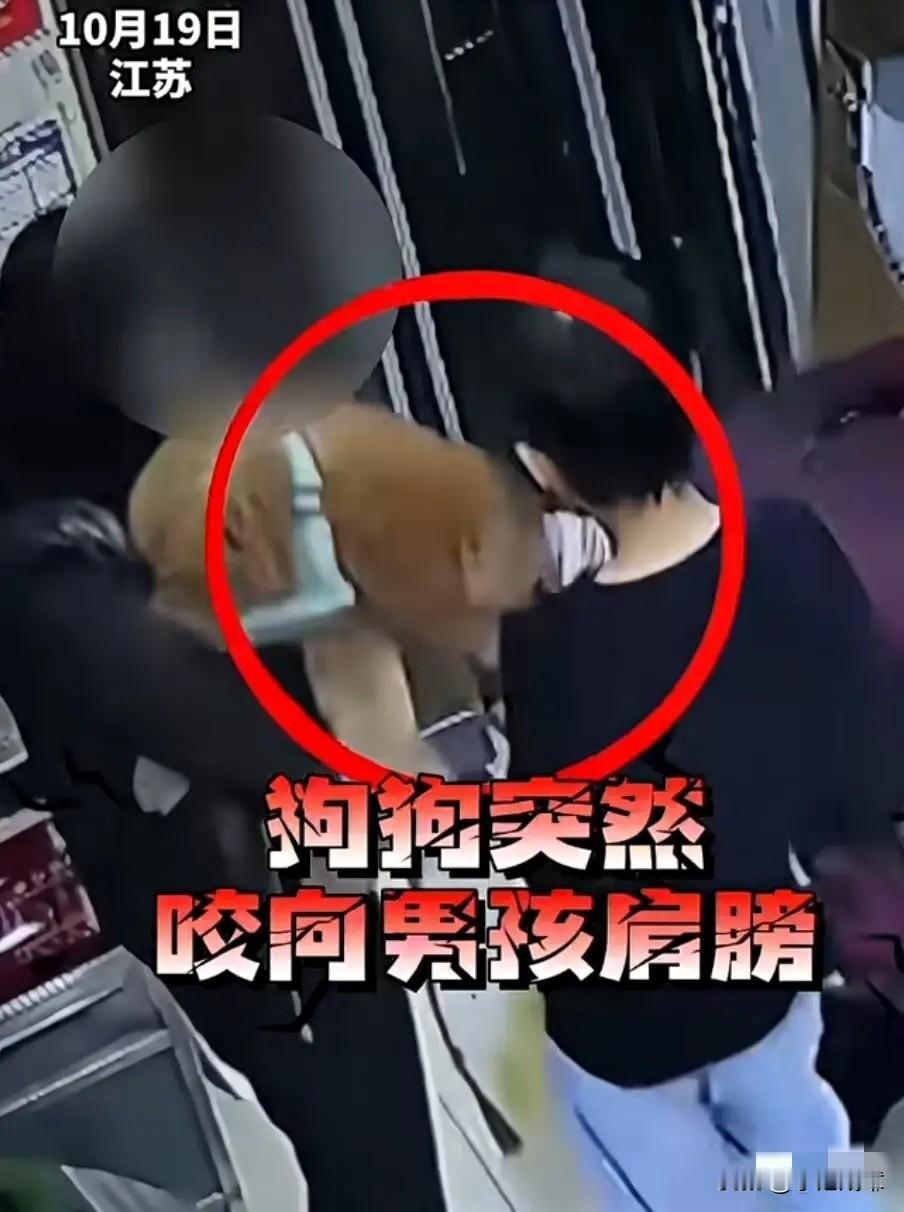 近日，江苏一名女子带着她的泰迪犬去取快递时，把一名小男孩给咬伤，可女子对此却没有