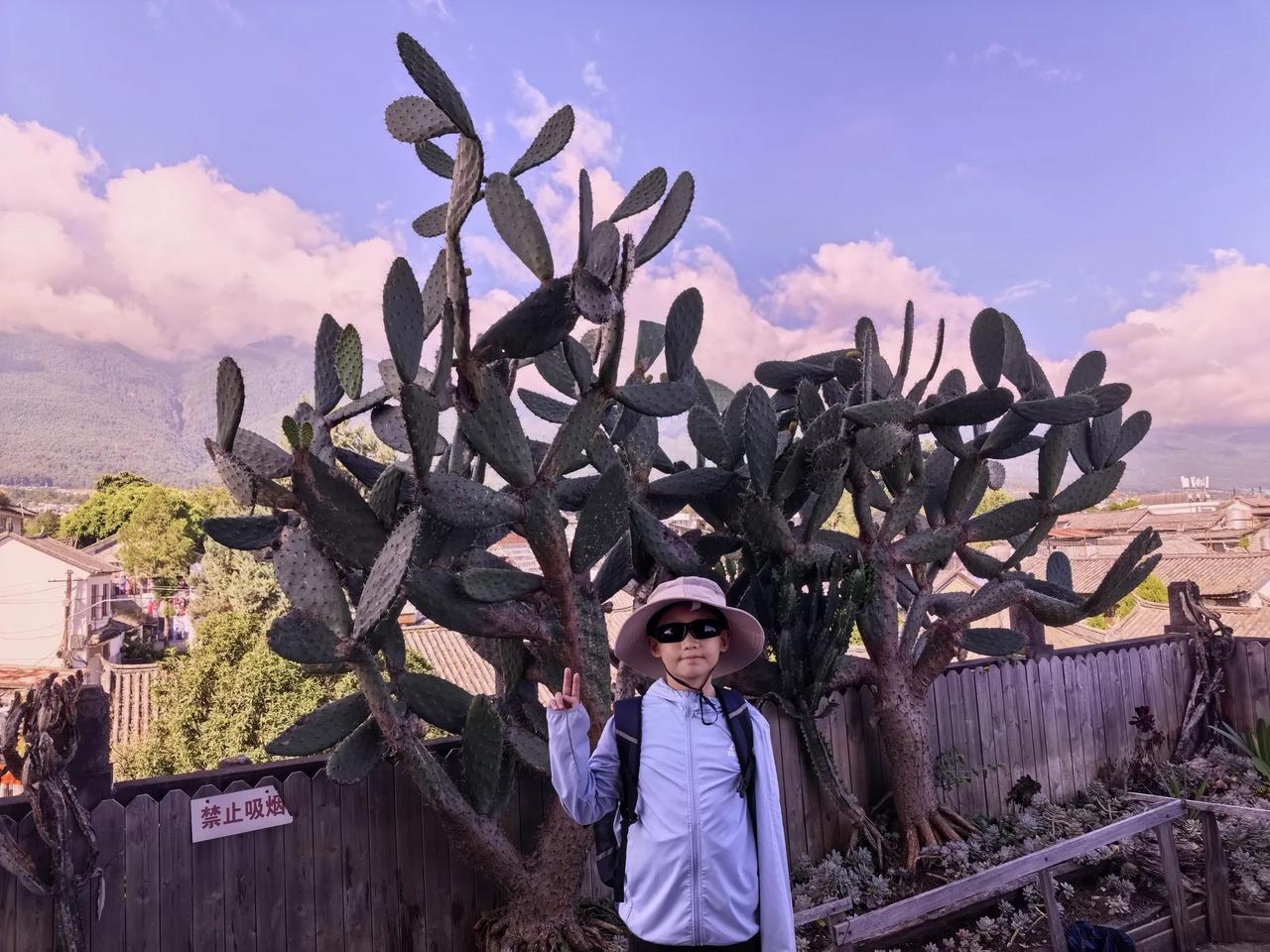 游云南大理（六）大理再见了！虽然我的首次大理之旅，就只有短短的一天时间，但是