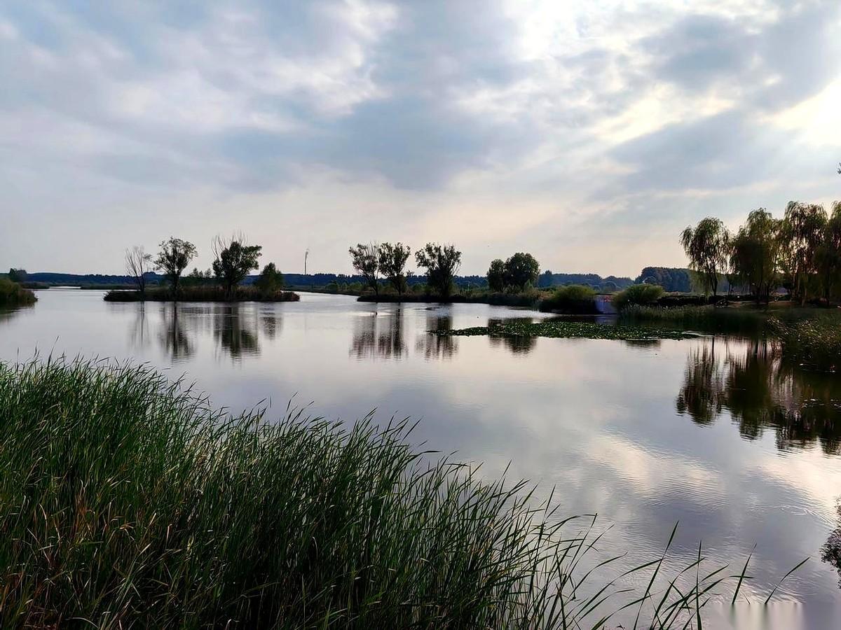 朋友圈里，管狗叫儿子，管猫叫闺女。挺好，真的。但别忘了，你“儿子”出门，得牵