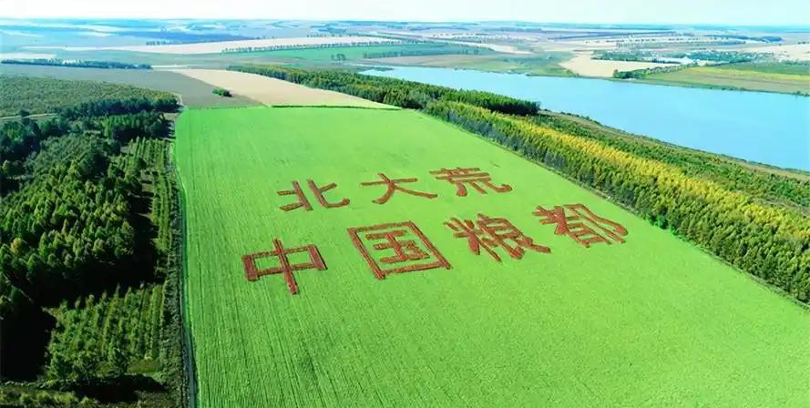 `几百亿斤的粮食说不要就不要了？数万名官兵和农民辛苦开垦了半个世纪，能养活一亿人