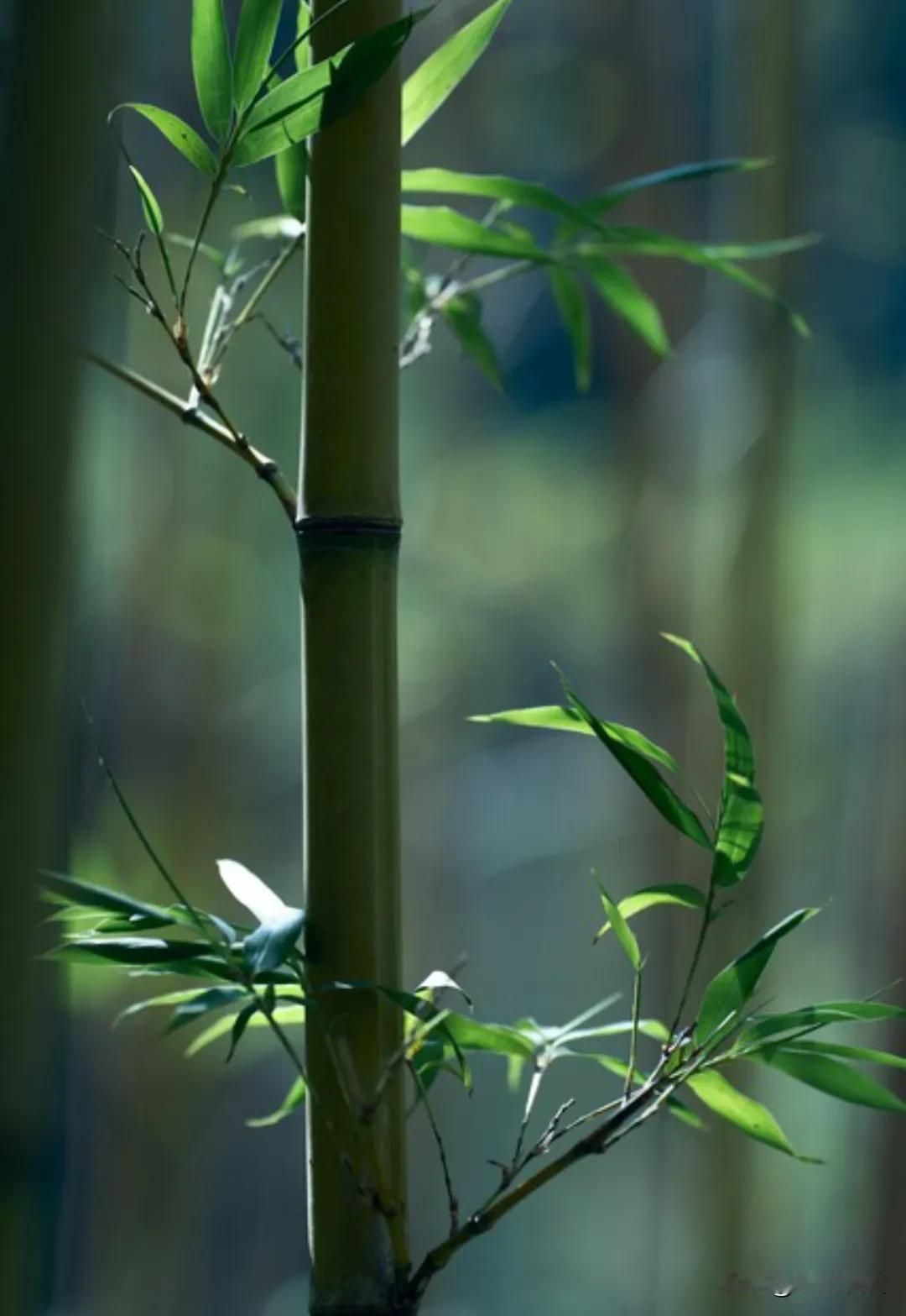 人生最好的六个词！1、知足。一个人越懂得知足，生活会过得更幸福快乐。