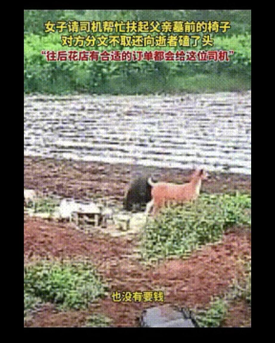 山东临沂，一女子发现父亲墓前的椅子倒了，自己又没时间回去，也没法让邻居去扶，于是