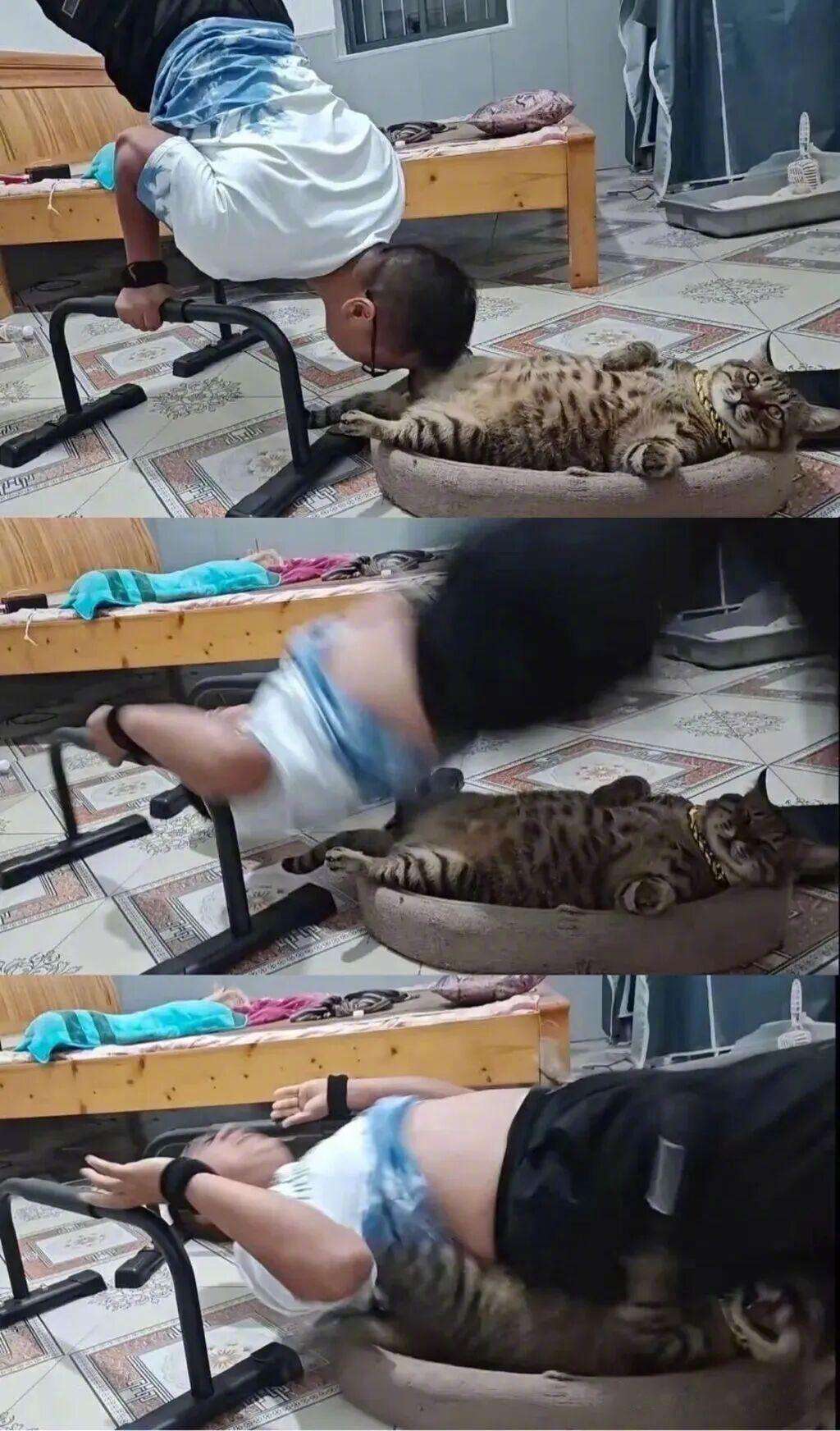 ：老子做错了什么