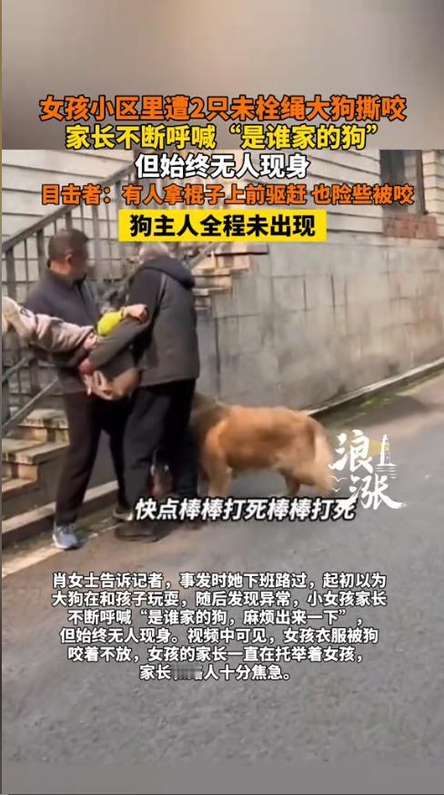 “严查到底！”近日，重庆，一小女孩在楼下玩耍时，突然被两条未拴绳的大型犬撕咬！家