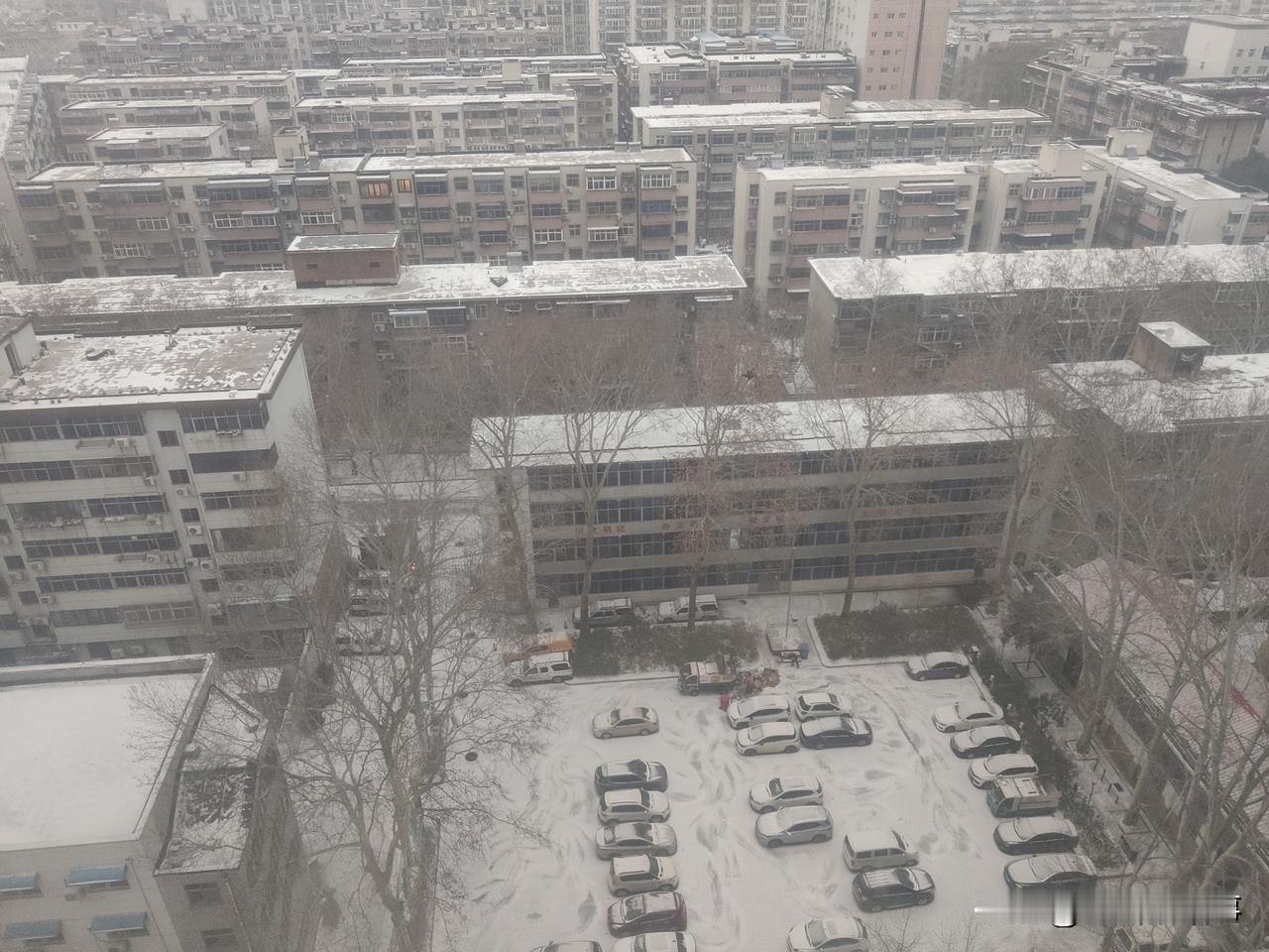 人们期待了一整夜，虽然说预报的暴雪、大雪、中雪没来，但小雪还是来了！而且我个人认