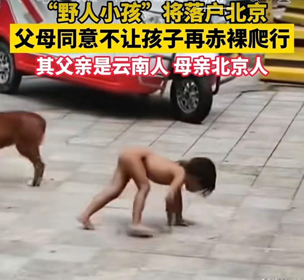 想起了历史课本中的北京人和元谋人，这样的父母，好像也没法处理他们。