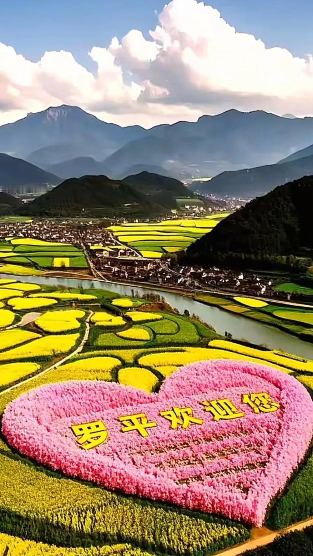 云南罗平县之旅踏入云南罗平县，仿佛闯入一幅绝美画卷。金鸡峰丛是必打卡之地，