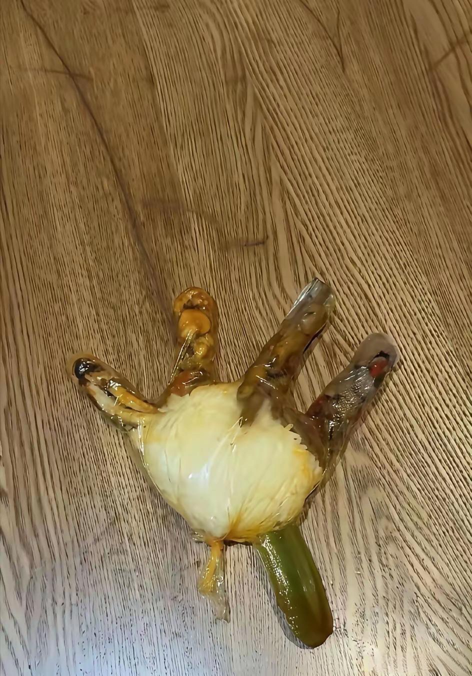 四菜一饭怎么样？