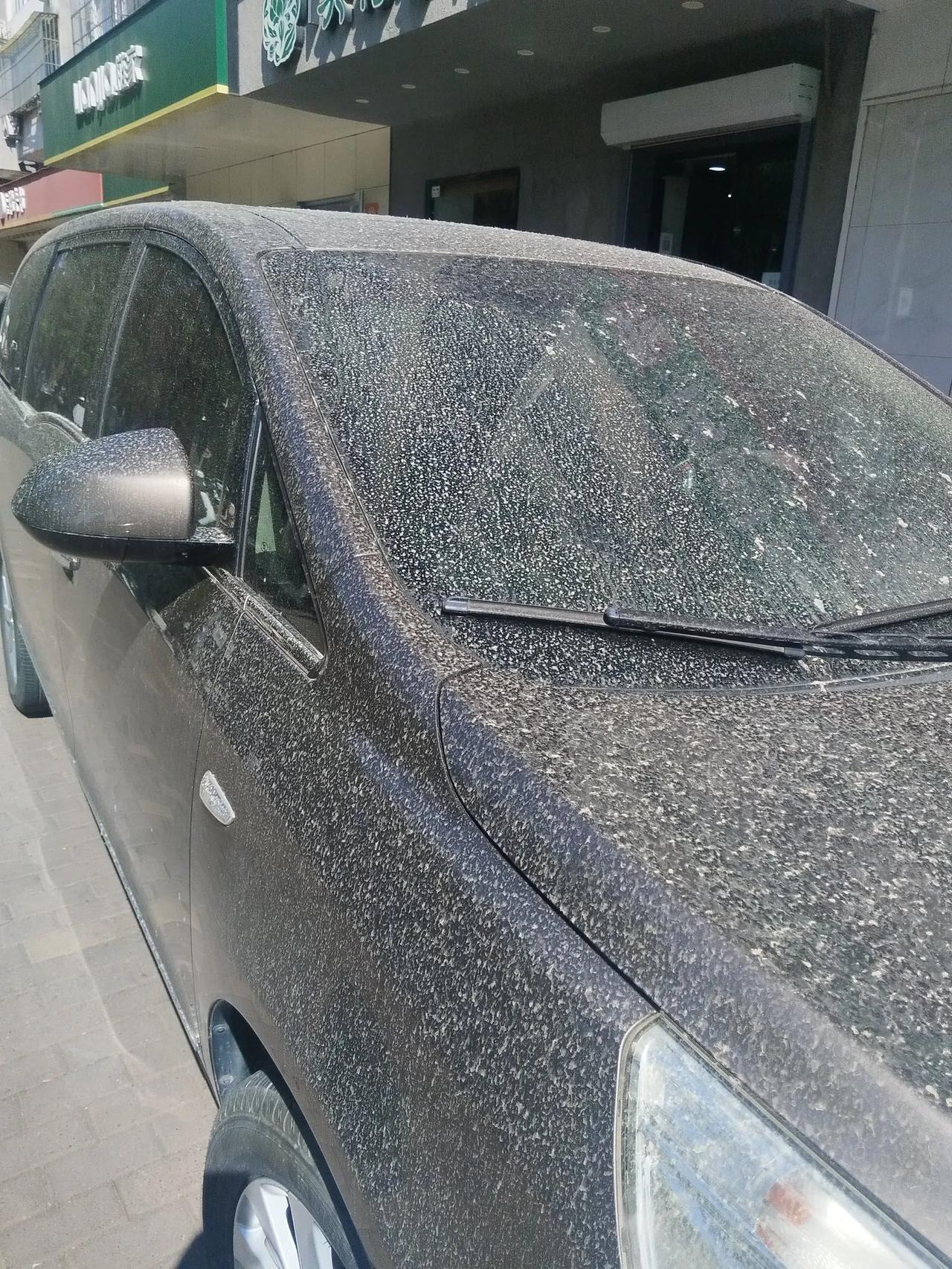 昨天下午下了一场大雨，我还不在，我从定州回来路上遇到这场大雨，今晨起来一看，北京