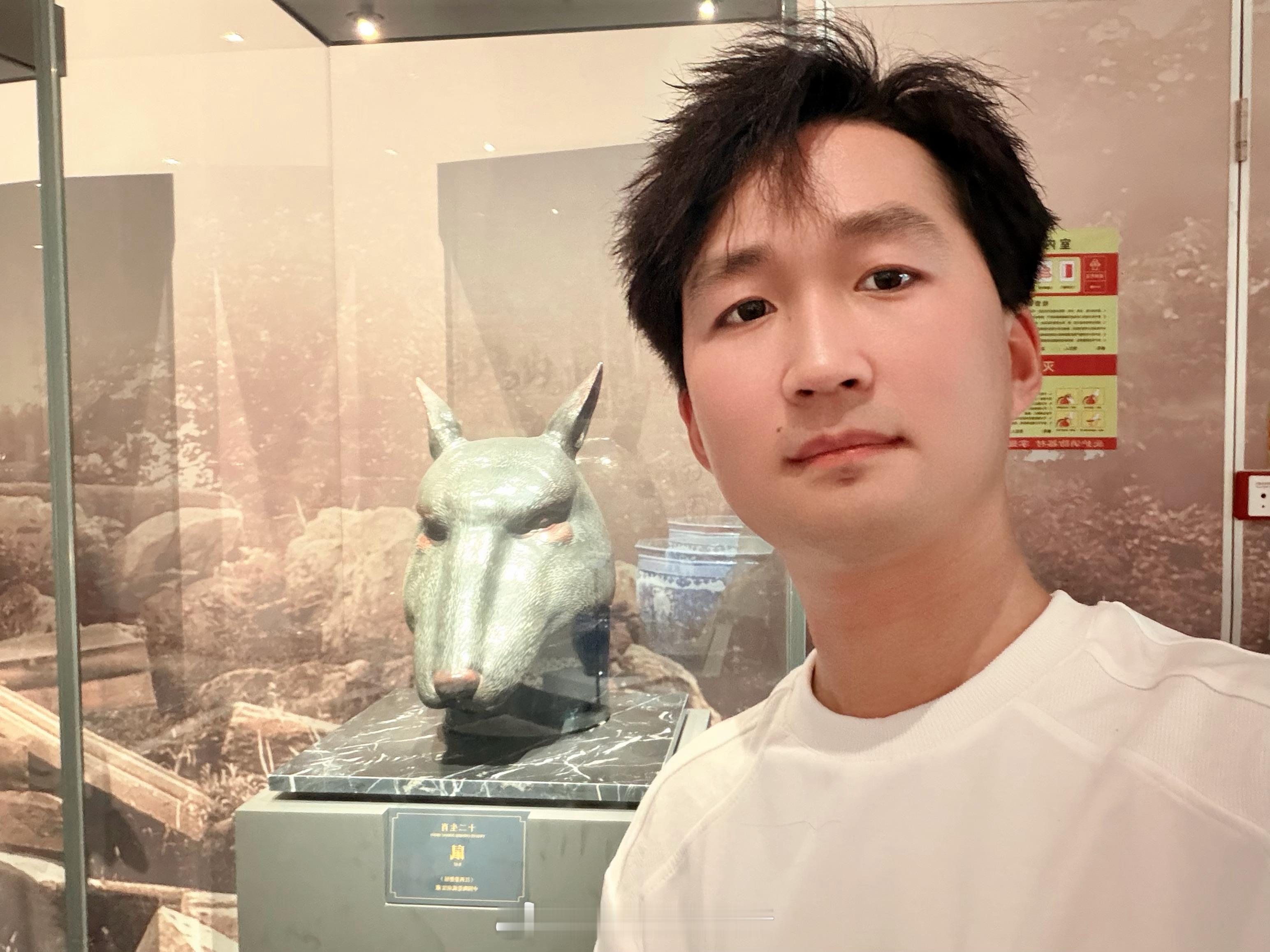 和十二生肖合了照，看有你的属相不