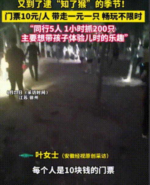 “捡着乐子还挣钱！”江苏，一家养殖“知了猴”基地，老板竟然以10元一人的门票，让