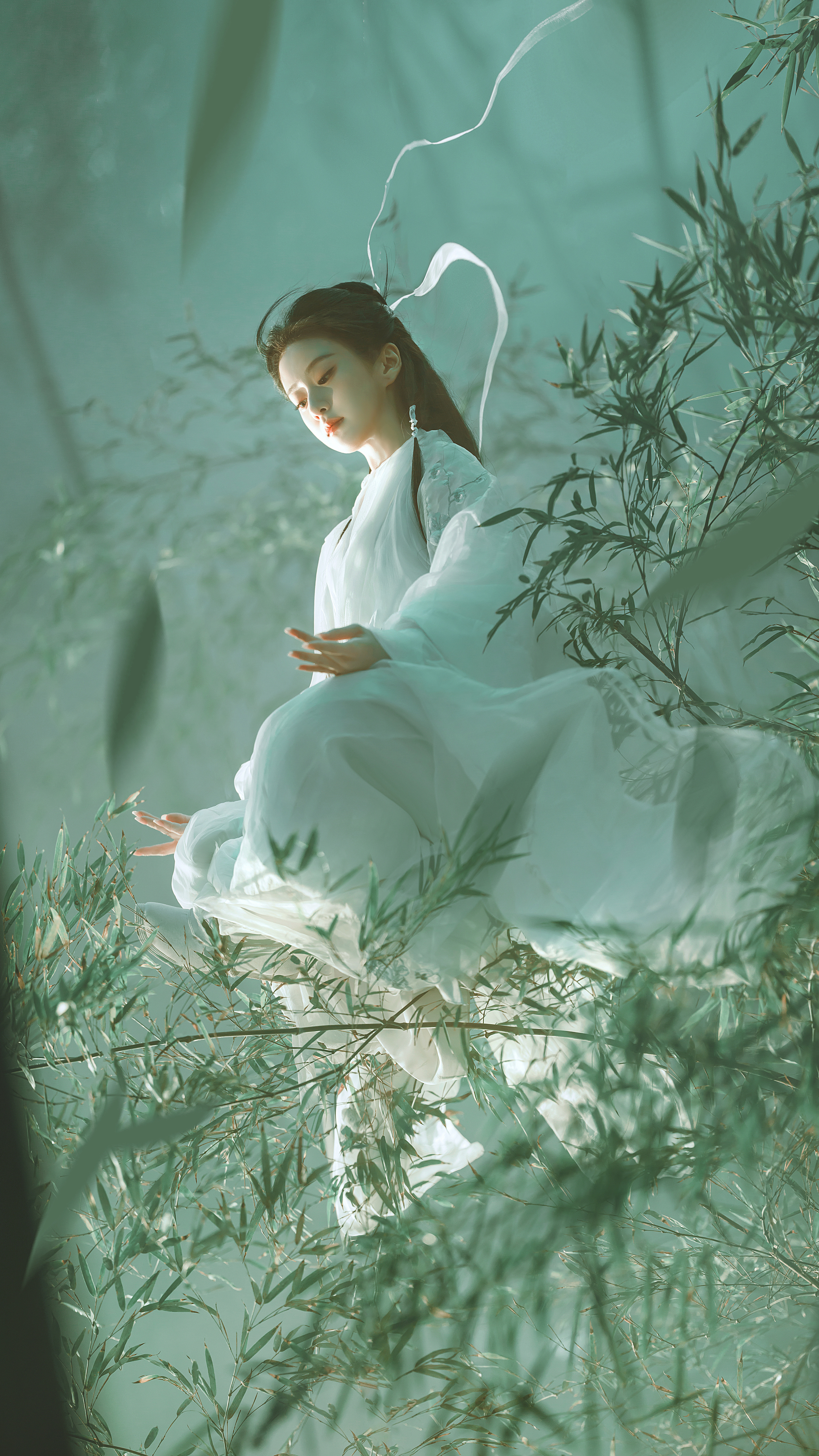 倚竹静候，剑起江湖🎋🗡️江湖夜雨十年灯蔡昭今日如约而至。