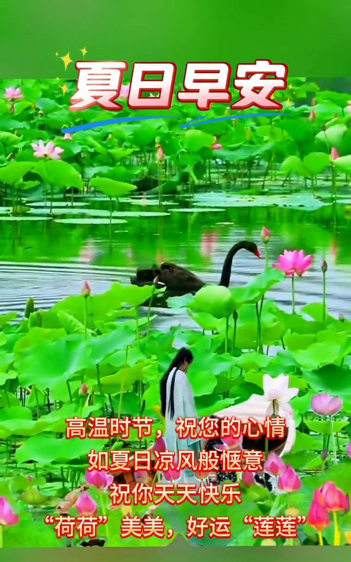 夏日早安。高温时节，祝您的心情如夏日凉风般惬意。祝你天天快乐，