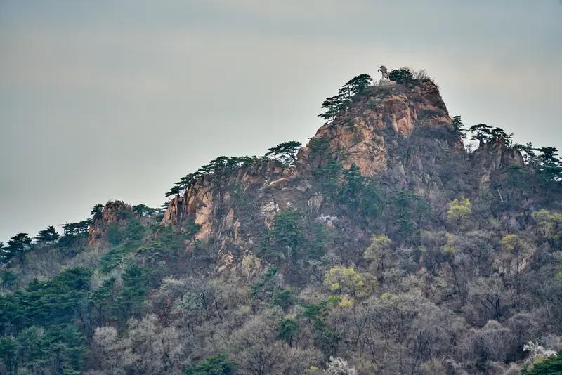 明朝丢失辽东，是长期积弊、战略失误与后金崛起共同作用的结果。以下是对其核心原因的
