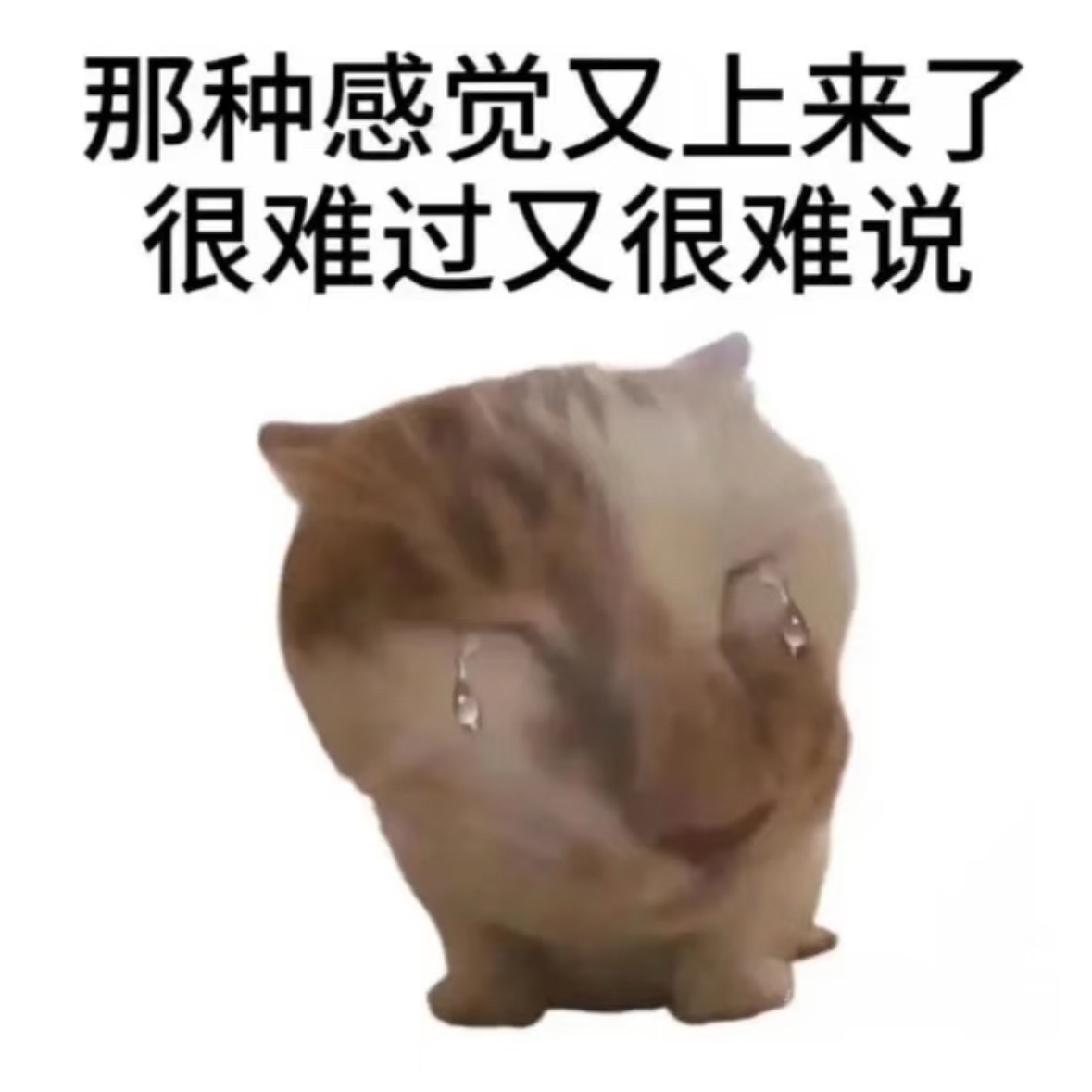都只差那么点今天早点做中不中啊！