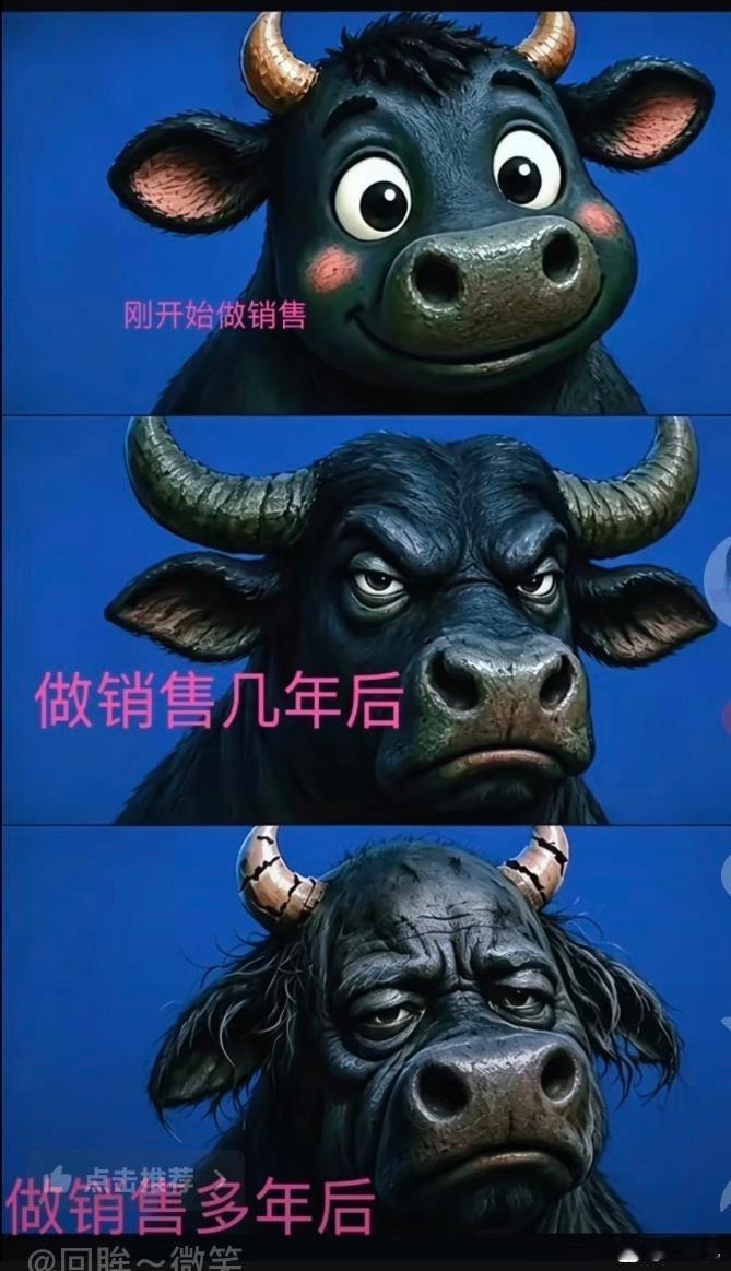 还是太形象了