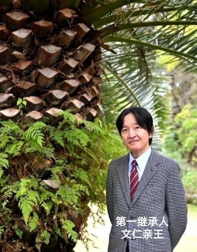 日本政府开始很认真地对待天皇的下一代男孩稀缺的问题了。据共同社报道，高市早苗曾在